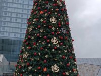 photo_2025-12-10_13-52-18