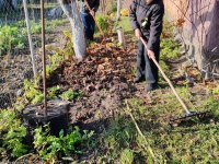 photo_2025-11-17_19-38-11