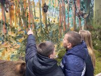 photo_2025-11-27_10-09-59