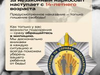 photo_2025-11-19_16-51-59